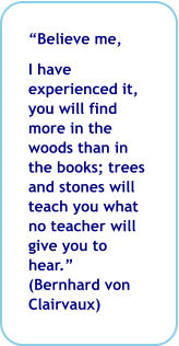 “Believe me,  I have experienced it, you will find more in the woods than in the books; trees and stones will teach you what no teacher will give you to hear.” (Bernhard von Clairvaux)